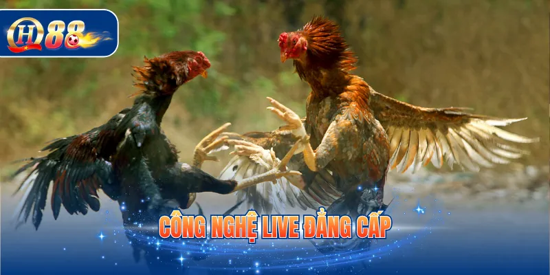 Công nghệ live đẳng cấp