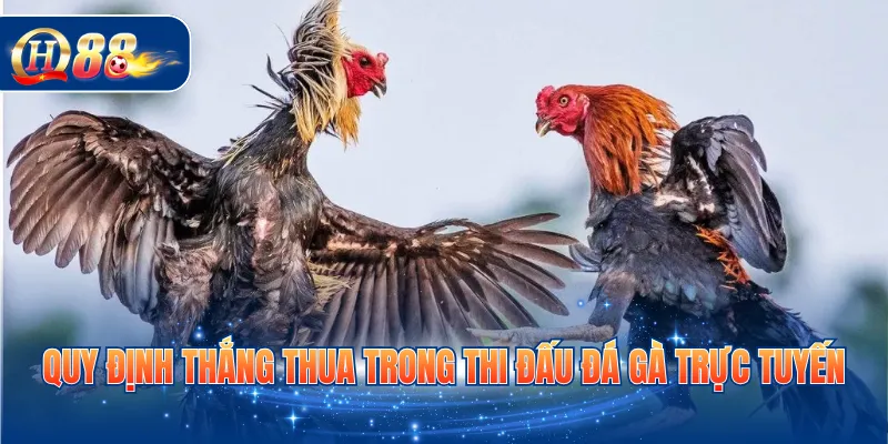 Quy định thắng thua trong thi đấu đá gà trực tuyến