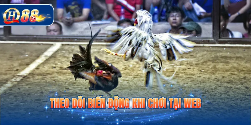 Theo dõi biến động khi chơi tại web